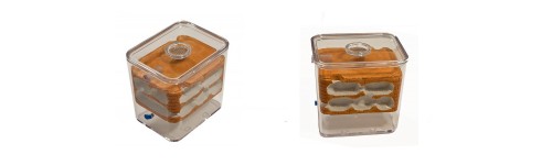 Antcubik Series