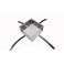 Antbox Single