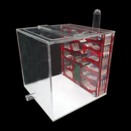 Antcubik 2.0 D
